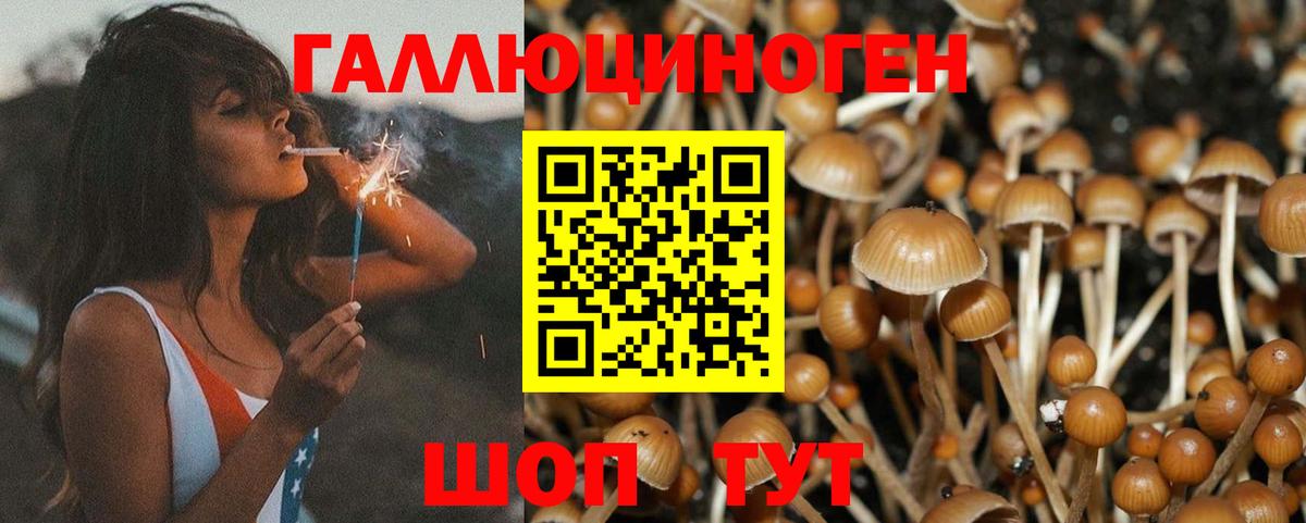 Галлюциногенные грибы мухоморы  Вход с VPN  Псилоцибиновые грибы Psilocybe  Кингисепп 